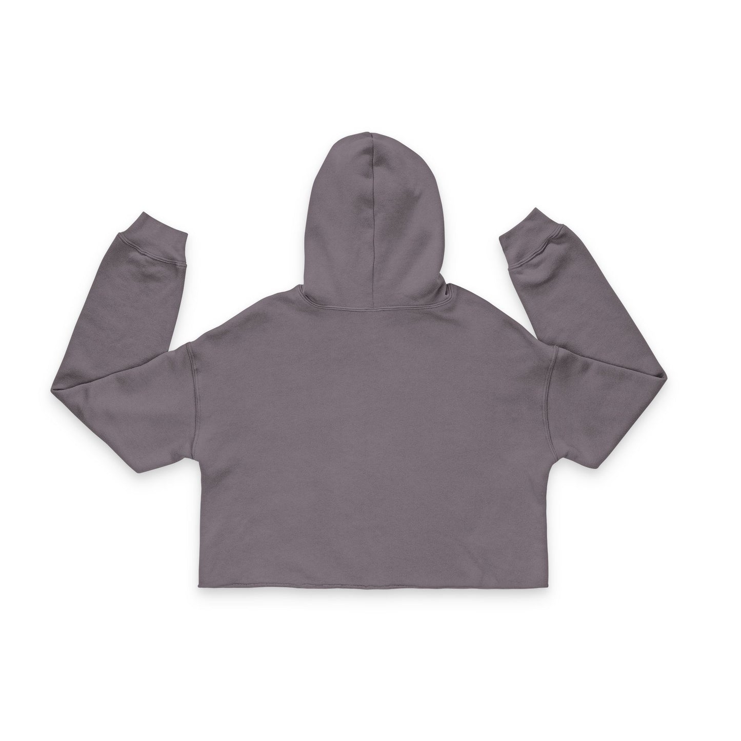 Cute Hedgehog Women's Cropped Hoodie, Cozy Layer, Gift for Her, Trendy Casual Wear, Birthday, Animal Lover Apparel